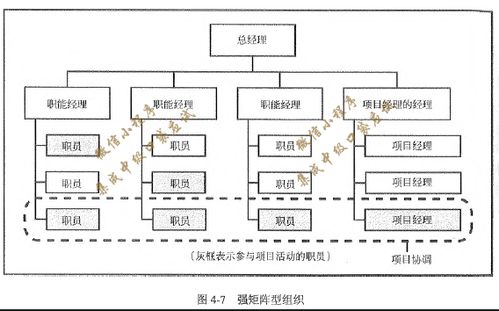 《系統(tǒng)集成項目管理工程師備考資料 口袋應(yīng)試第二版》 北京信息系統(tǒng)集成服務(wù)的考試指南與實踐要點
